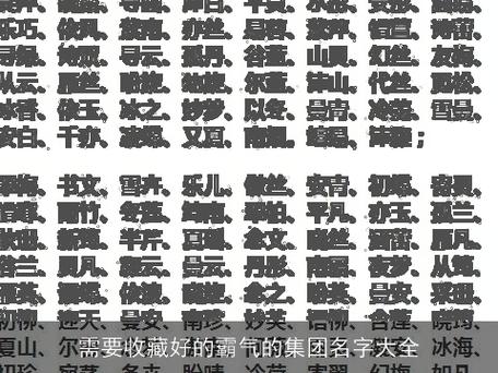 霸气的集团名字大全_小说公司名字霸气的集团名字大全