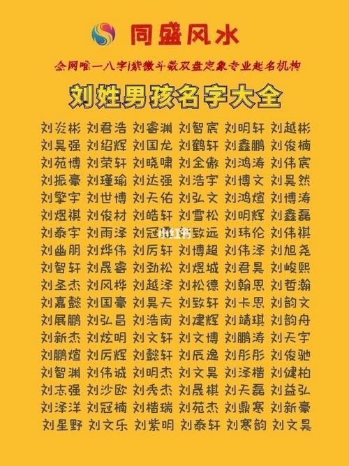 2020刘姓大气男宝宝名字大全_2020刘姓大气男宝宝名字大全四个字