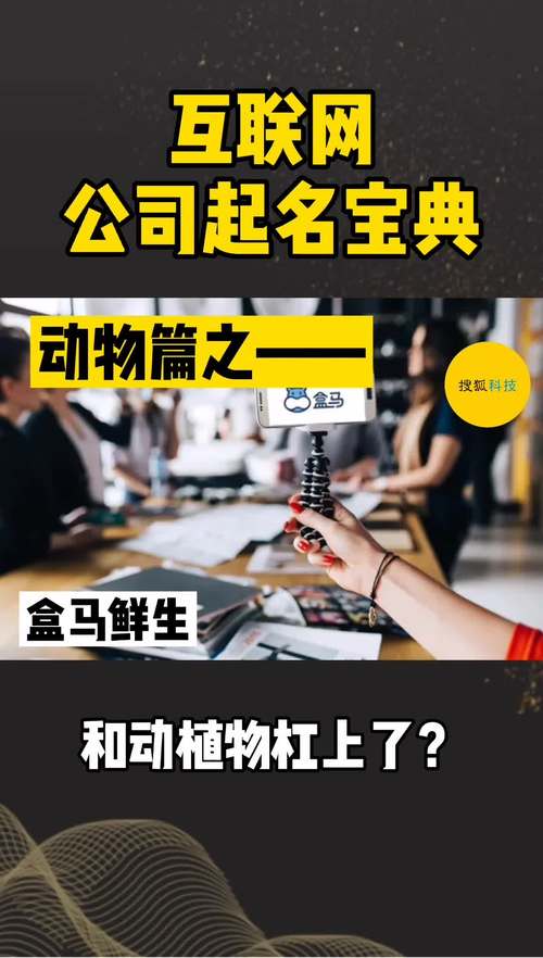 动物取名的公司_动物取名的公司名字大全