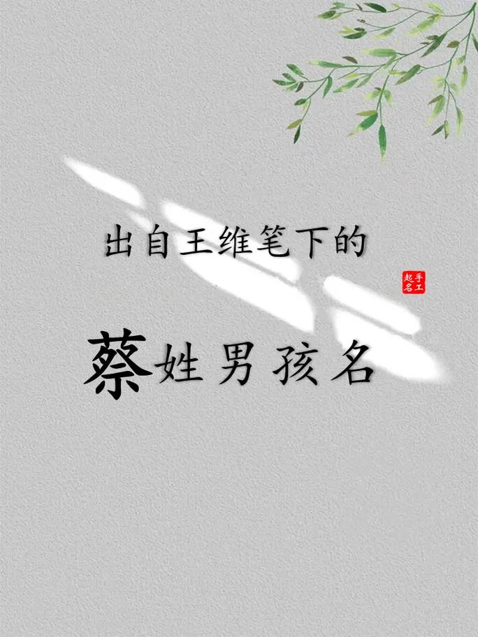 2021年蔡姓男孩名字大全_2021年蔡姓男孩名字大全四个字