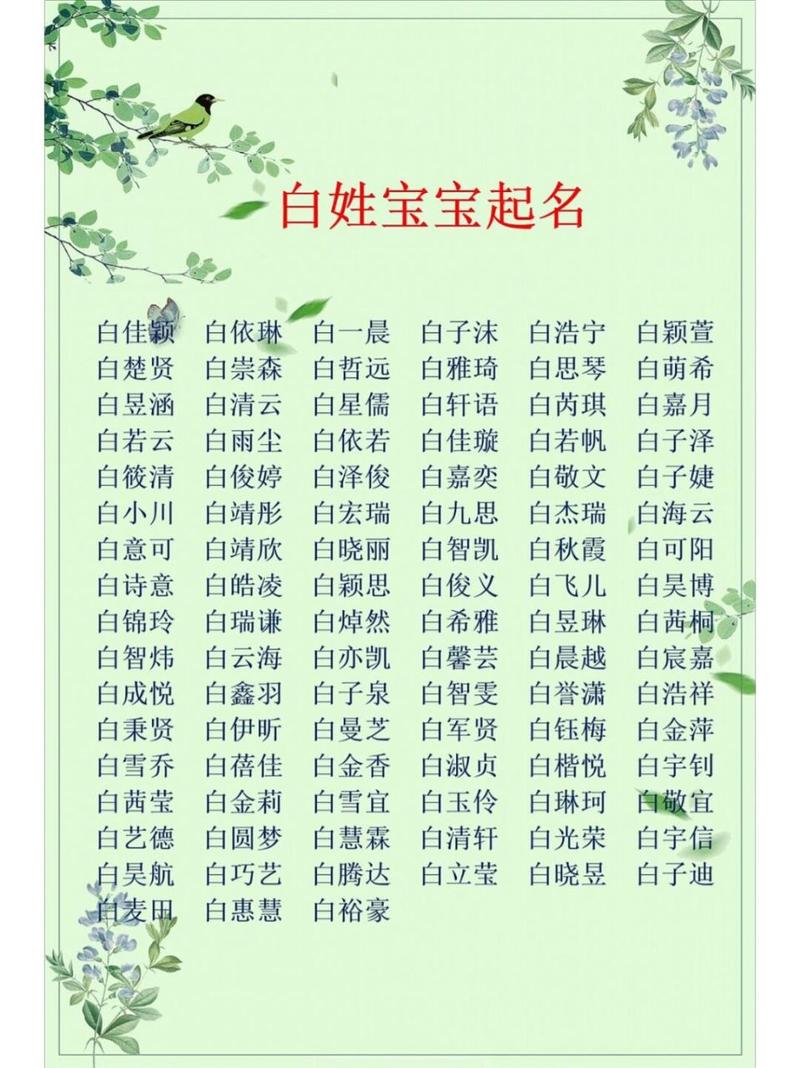 白姓起名男孩名字大全_白姓起名男孩名字大全两个字