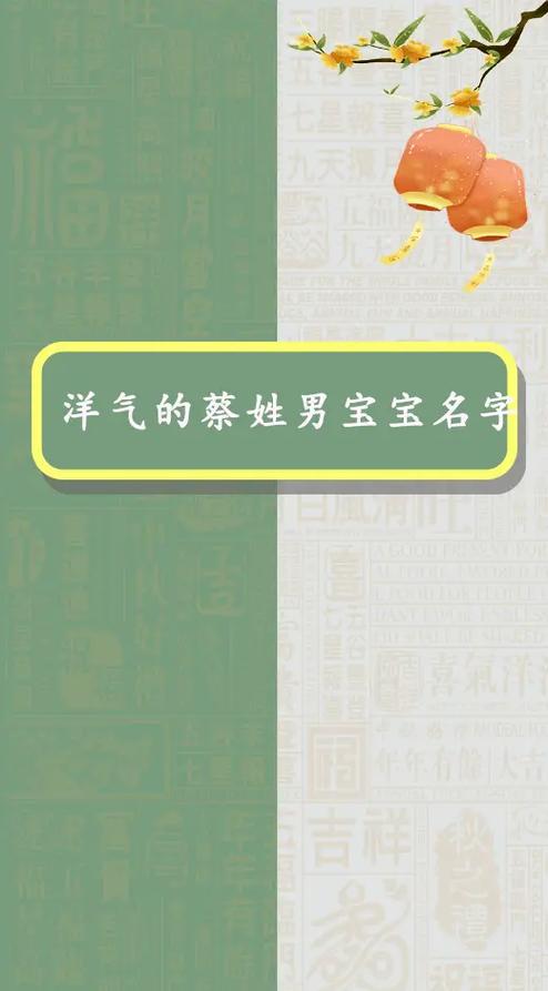 蔡姓取什么名字好听男孩_蔡姓取什么名字好听男孩子