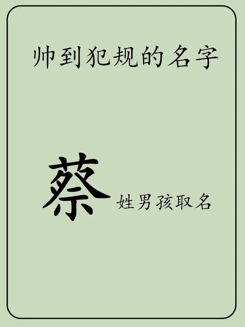 蔡姓取什么名字好听男孩_蔡姓取什么名字好听男孩子