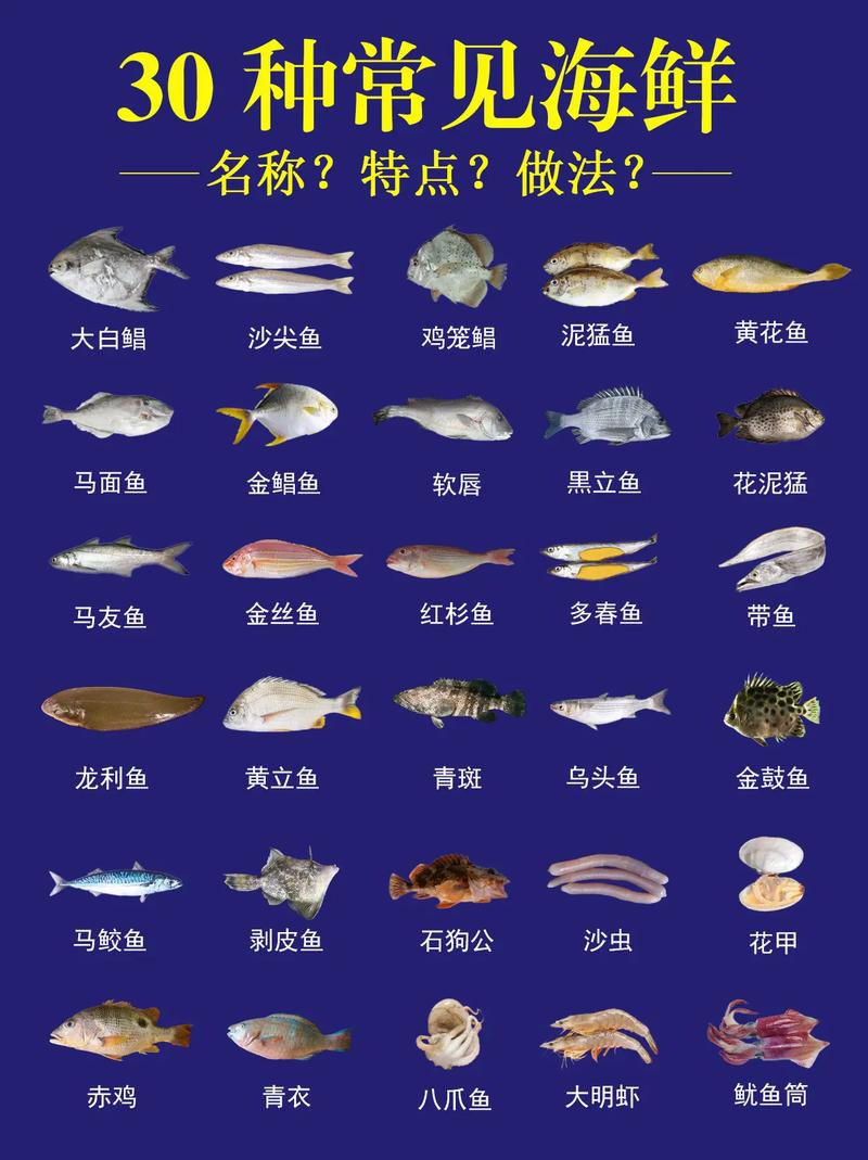 海鲜名字大全集_海鲜名字大全集成语