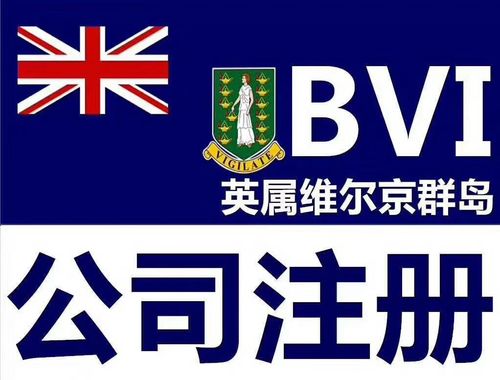 bvi公司名称范例_bvi公司名字例子