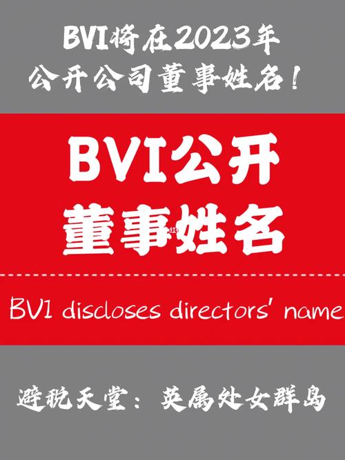 bvi公司名称范例_bvi公司名字例子