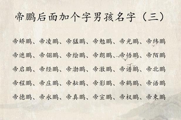 起名带鹏女孩名字大全（起名带鹏女孩名字大全四个字）