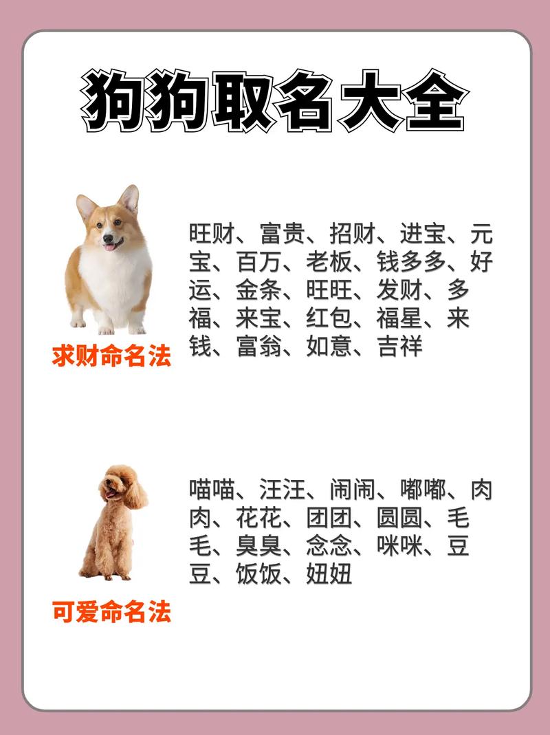 给狗起名起名字大全女（狗名字大全 洋气的女名字）