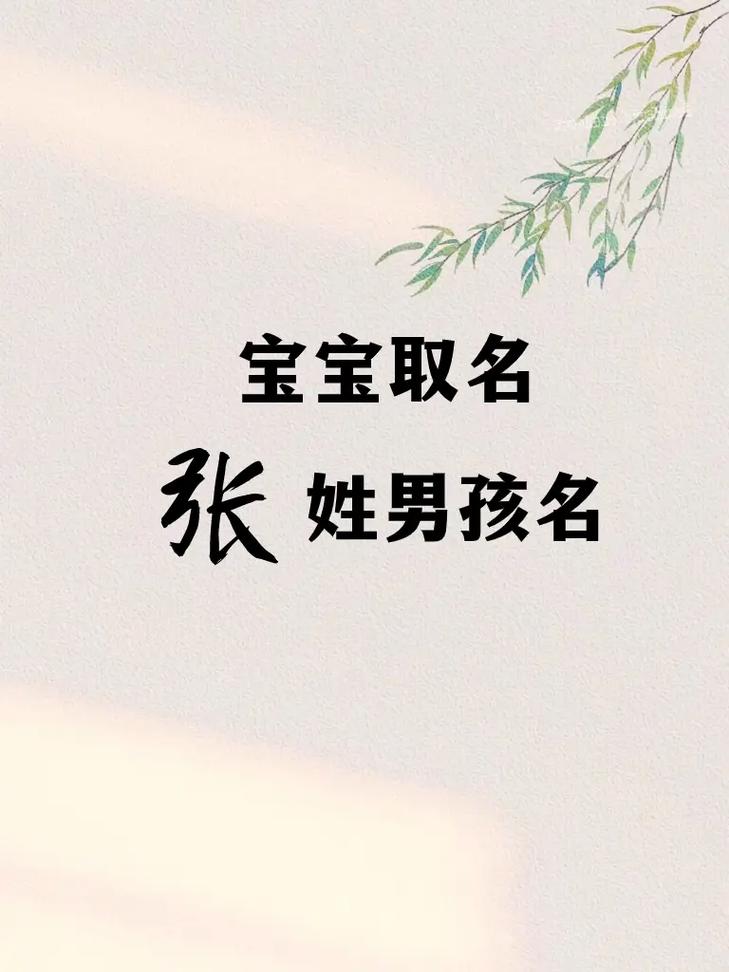 两个字的张姓男孩名字_两个字的张姓男孩名字大全