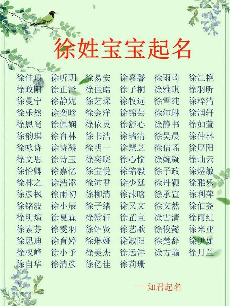 徐姓 宝宝起名字大全_徐姓宝宝起名字大全