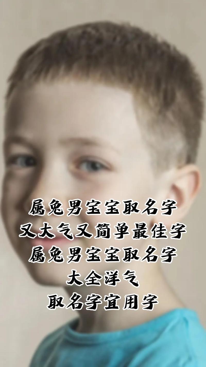 今年出生属兔男孩起名_今年出生属兔男孩起名字