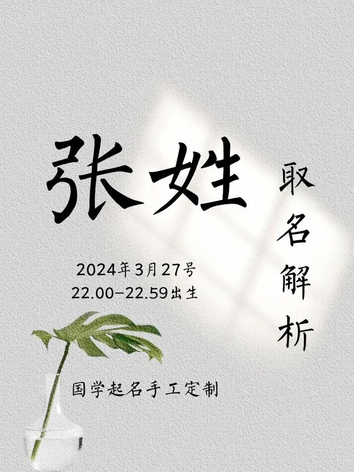 2023兔年男孩名字姓张_2023兔年男孩名字姓张怎么取