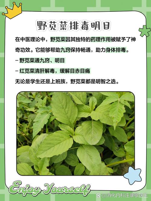 苋菜怎么起名字大全（苋菜怎么起名字大全四个字）