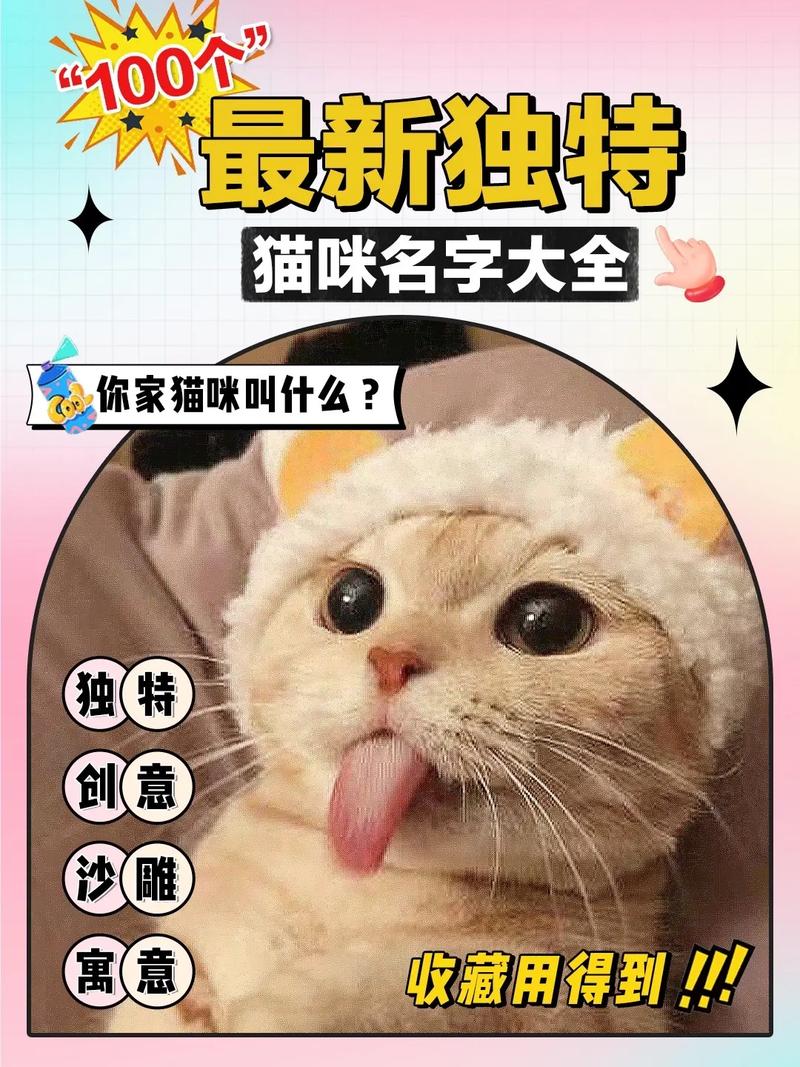 酷酷的猫咪起名字大全_酷酷的猫咪起名字大全女