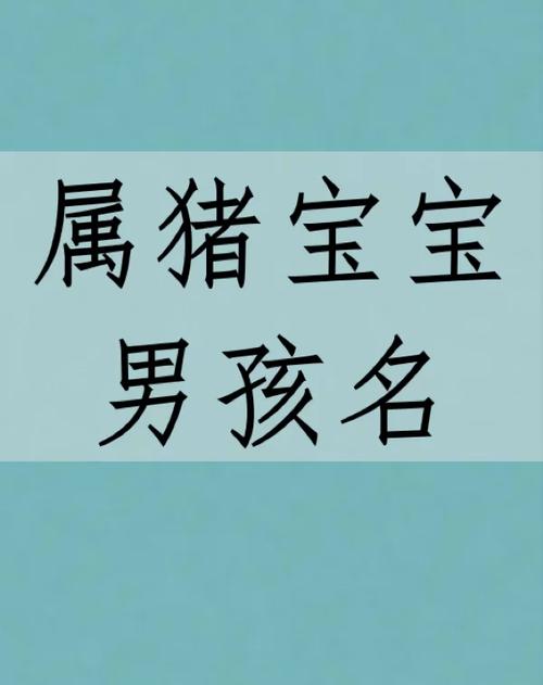 宁波猪宝宝起名字大全_宁波小孩取名字大全