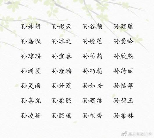 女儿给孙子起名字大全_女儿给孙子起名字大全集