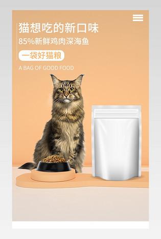 洋气猫粮起名字大全_洋气猫粮起名字大全四个字