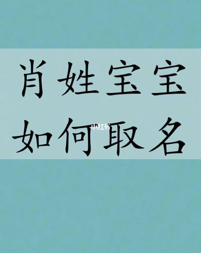 17年肖姓宝宝起名字怎样_17年肖姓宝宝起名字怎样起