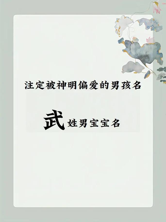 姓武给男宝宝起名字大全_姓武给男宝宝起名字大全四个字