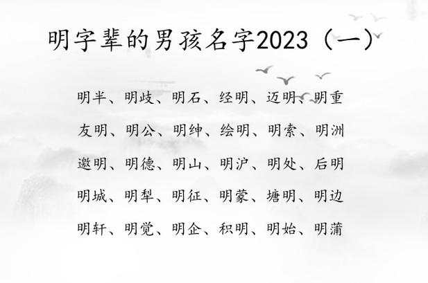 猪年男宝宝起名字带明字_猪年男宝宝起名字带明字好吗