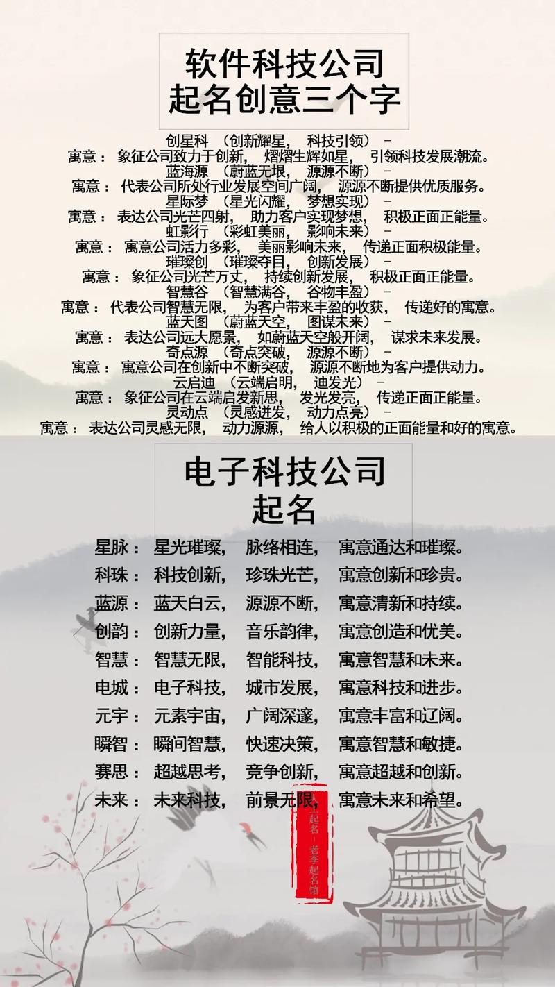 软件公司怎么取名_软件公司怎么取名字