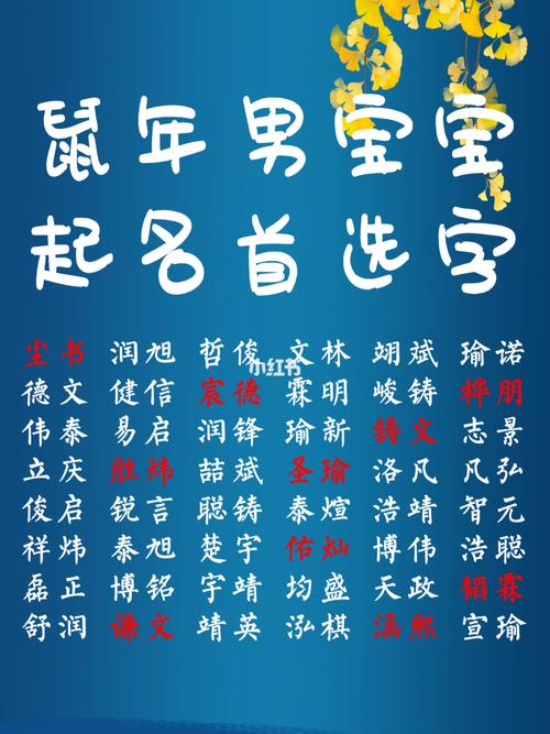 鼠年男宝宝起名字两字好吗_鼠年男宝宝起名字两字好吗