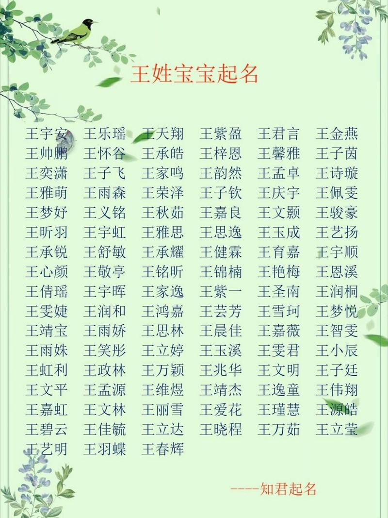 起名字大全男孩王姓_起名字大全男孩王姓