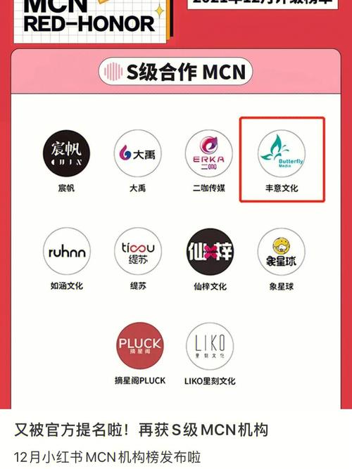 mcn公司名字怎么取_mcn公司起名