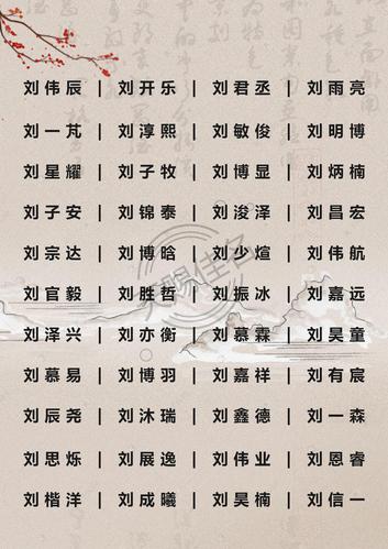 姓鼠起名男孩名字大全集_姓鼠起名男孩名字大全集四个字