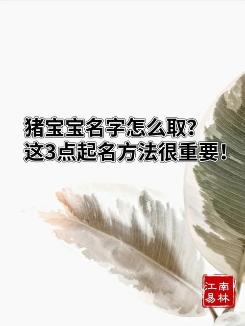 大年初二猪宝宝起名字_大年初二猪宝宝起名字大全