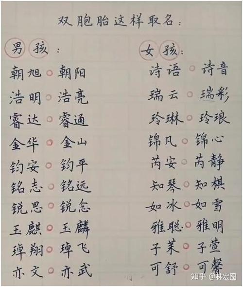 狗年宝宝起名字大全双胞胎_狗年宝宝起名字大全双胞胎男孩