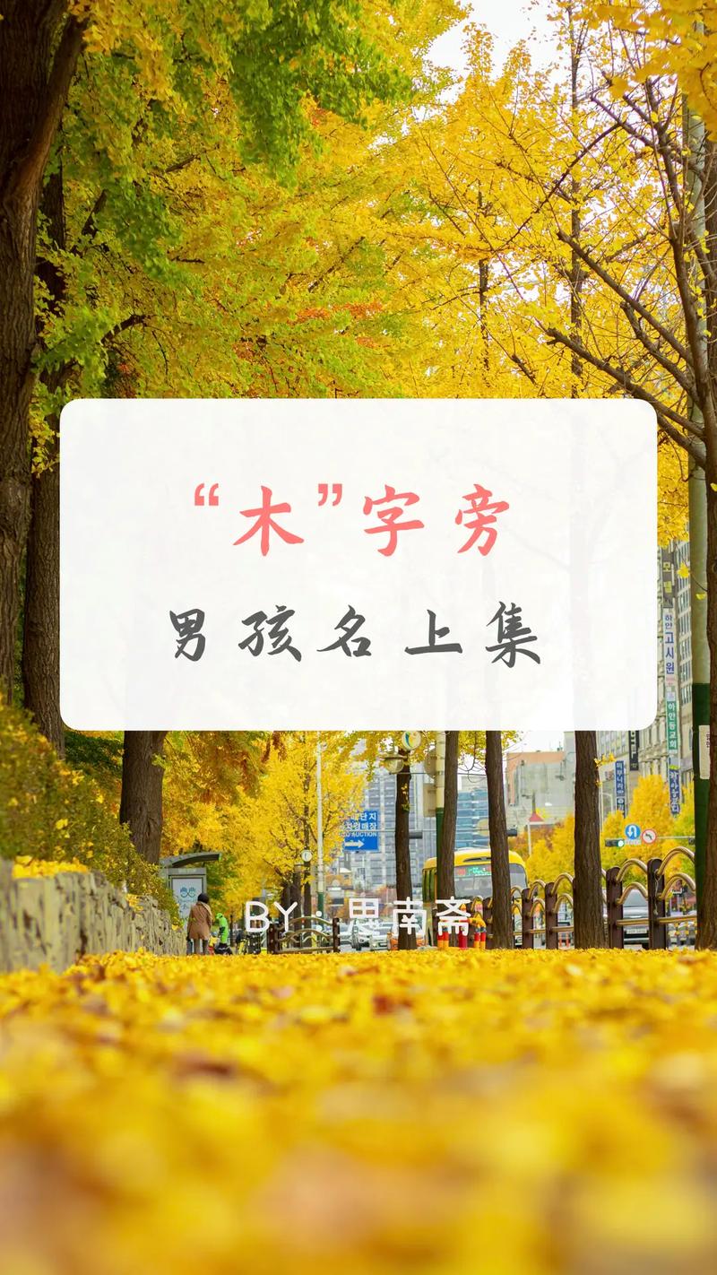 怎么给宝宝起名字带木字_怎么给宝宝起名字带木字旁