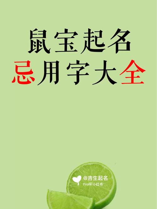 鼠年猪年宝宝起名字宜忌_鼠年猪年宝宝起名字宜忌是什么