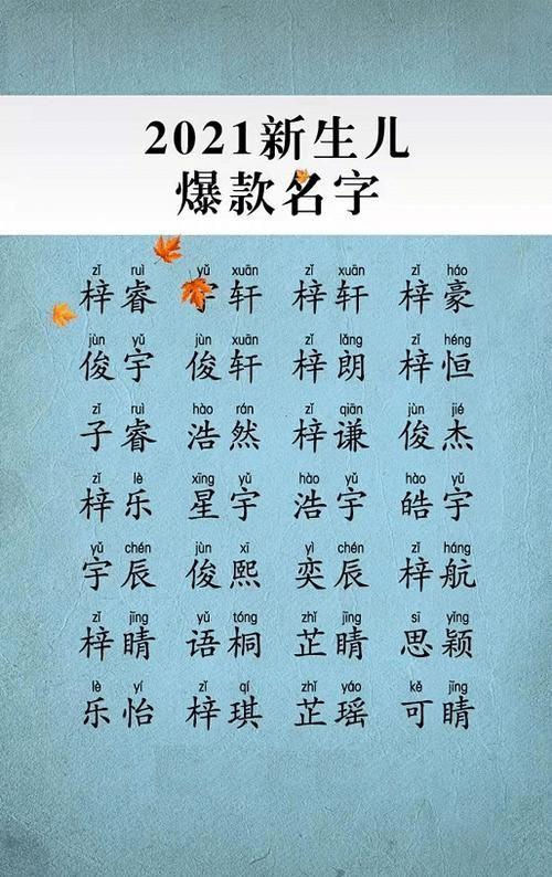 给小巧的东西起名字大全_给小巧的东西起名字大全四个字