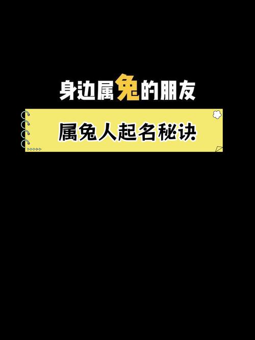 给黑色宠物兔起名字大全_给黑色宠物兔起名字大全四个字