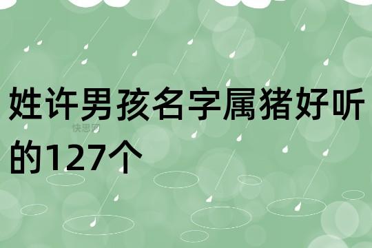 起名字大全男孩姓许属猪_起名字大全男孩姓许属猪取名