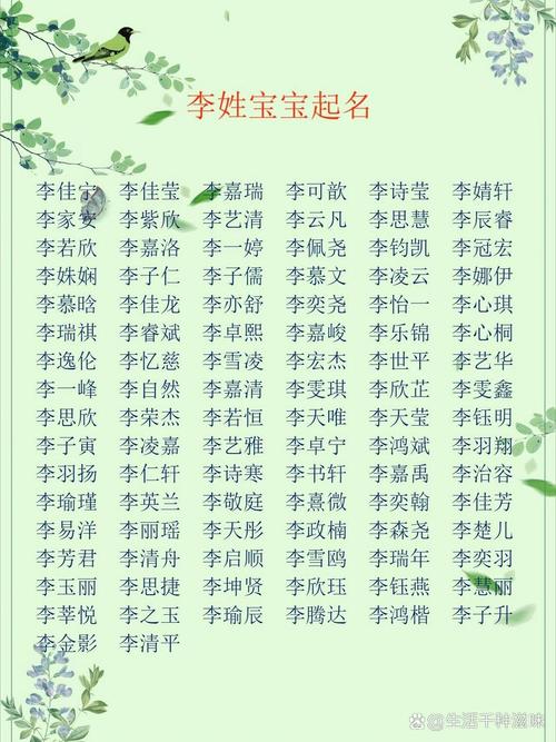 小宝宝姓李男的起名字_小宝宝姓李男的起名字大全