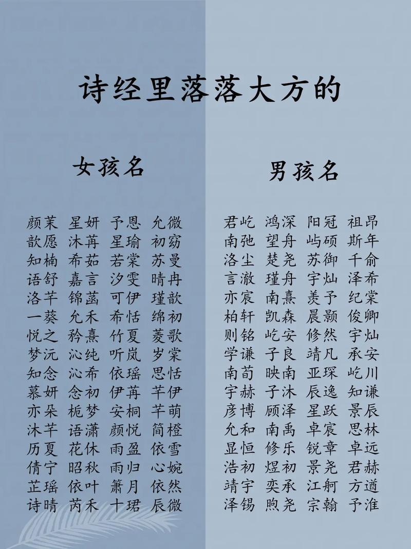 货架公司起名字_货架公司起名字大全诗经