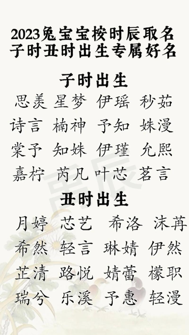 怎样给刚出生的宝宝起名字_刚出生的婴儿怎么取名