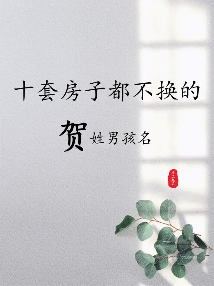 姓贺给孙子起名字大全_姓贺起什么名字好