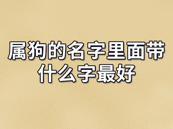 属狗男公司起名字_属狗男公司起名字大全