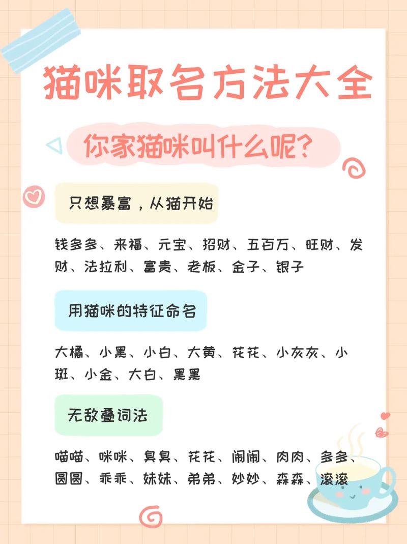 怎样给宠物公猫起名字大全_怎样给宠物公猫起名字大全好听