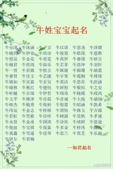 给牛宝宝起名字姓杨可以吗_给牛宝宝起名字姓杨可以吗女孩