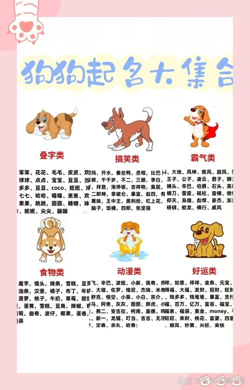 狗狗起名字大全带木字旁_狗狗起名字大全带木字旁的名字