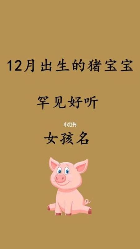 给猪宝宝起名字姓金可以吗_猪宝宝带金字起名