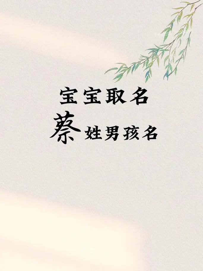 姓蔡的给小孩起名字大全_姓蔡的给小孩起名字大全男孩