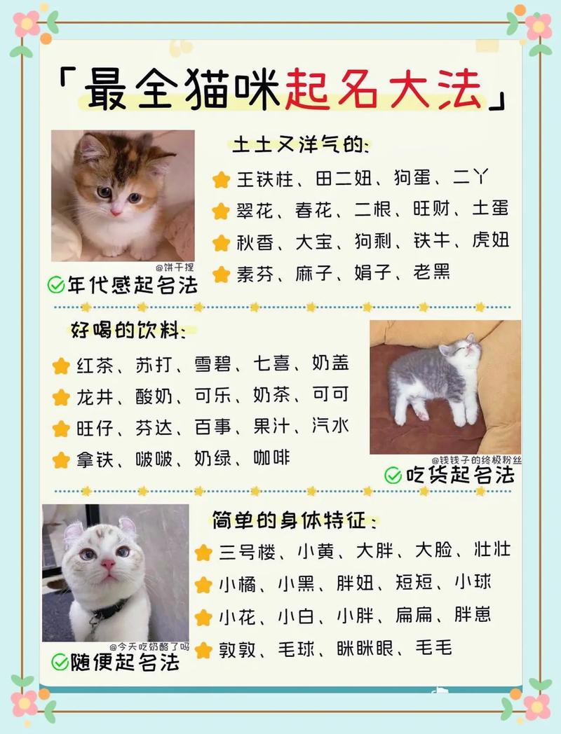 给猫星人起名字大全女生_给猫星人起名字大全女生两个字