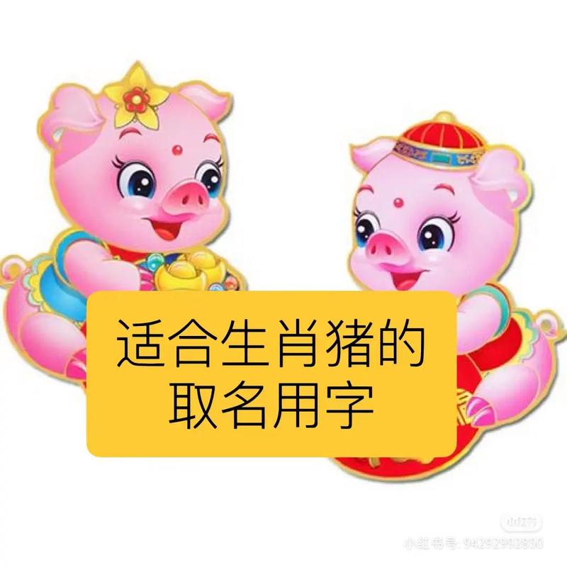 给老人起名字大全带猪的_给老人起名字大全带猪的名字