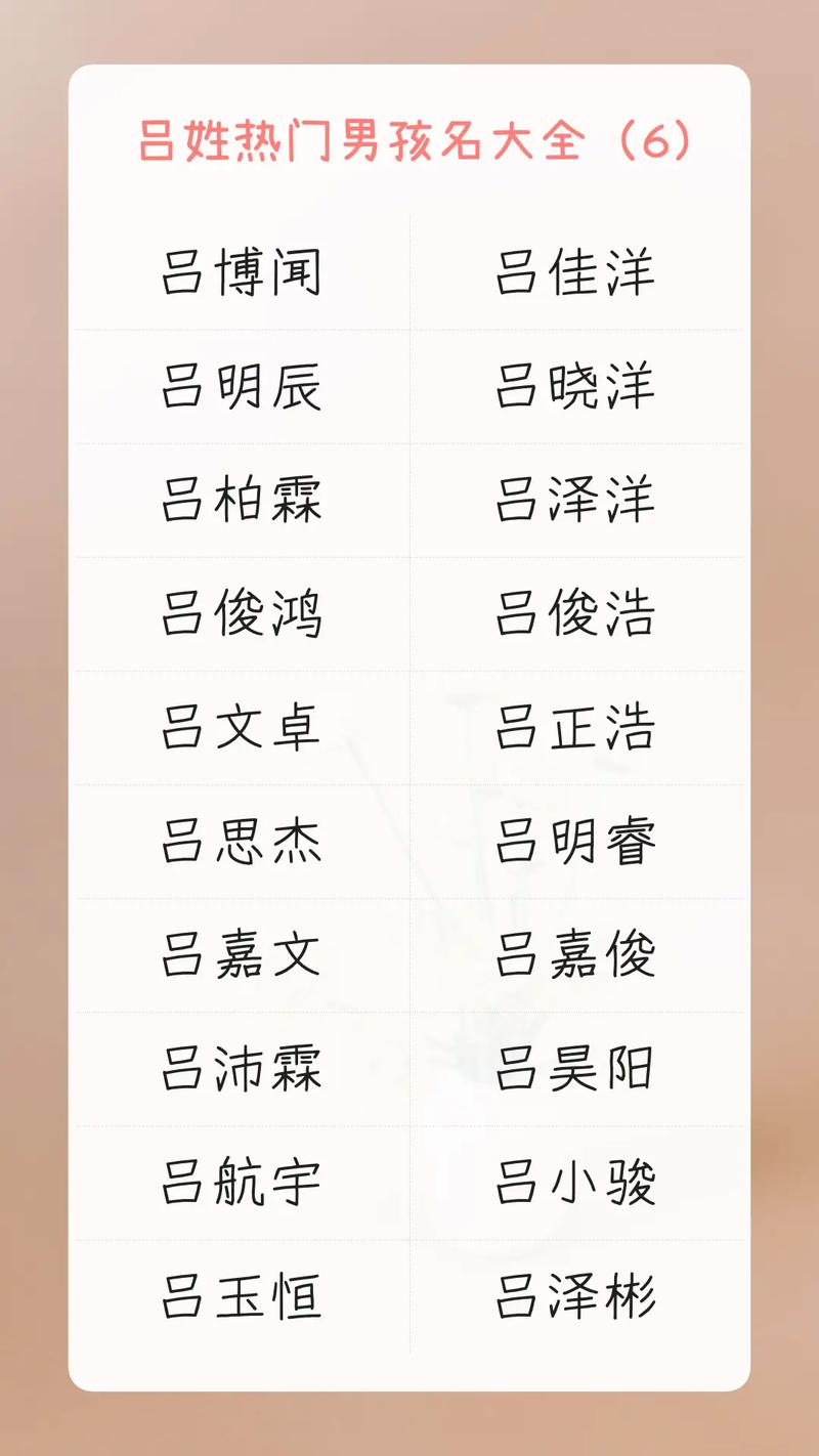 吕边加一个字给宝宝起名字_吕边加一个字给宝宝起名字好吗