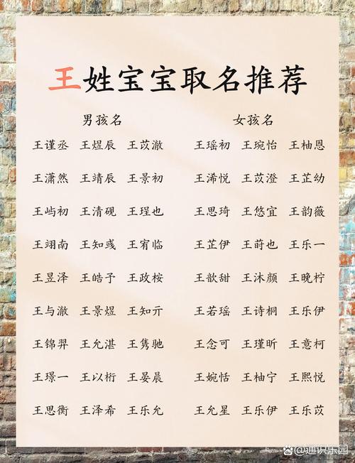 给男宝宝起名字姓王一个字_给男宝宝起名字姓王一个字怎么取